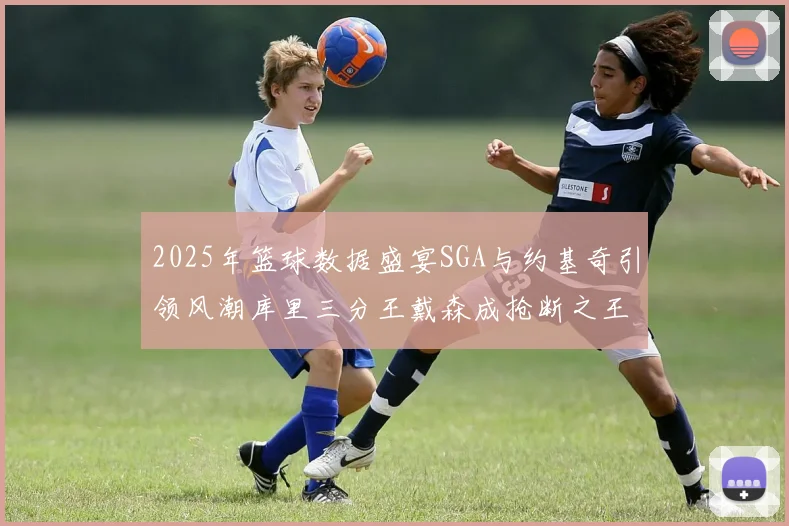 2025年篮球数据盛宴SGA与约基奇引领风潮库里三分王戴森成抢断之王