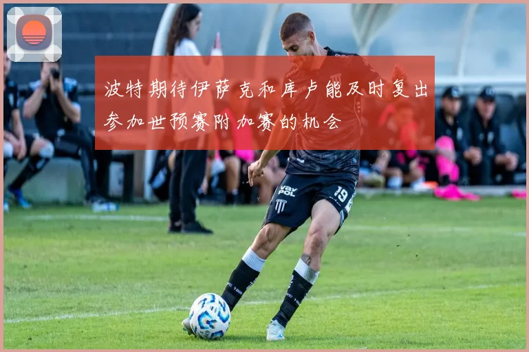 波特期待伊萨克和库卢能及时复出参加世预赛附加赛的机会